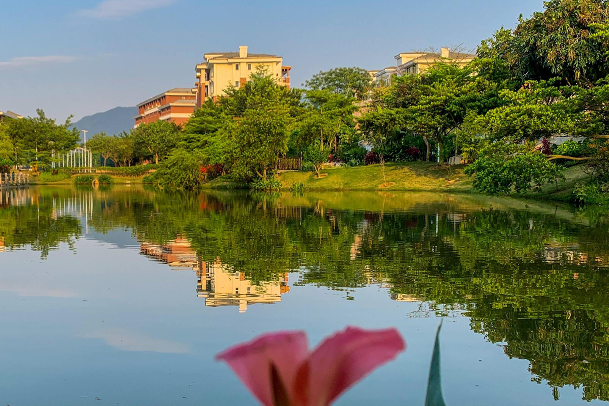 07学校知行湖-2.jpg